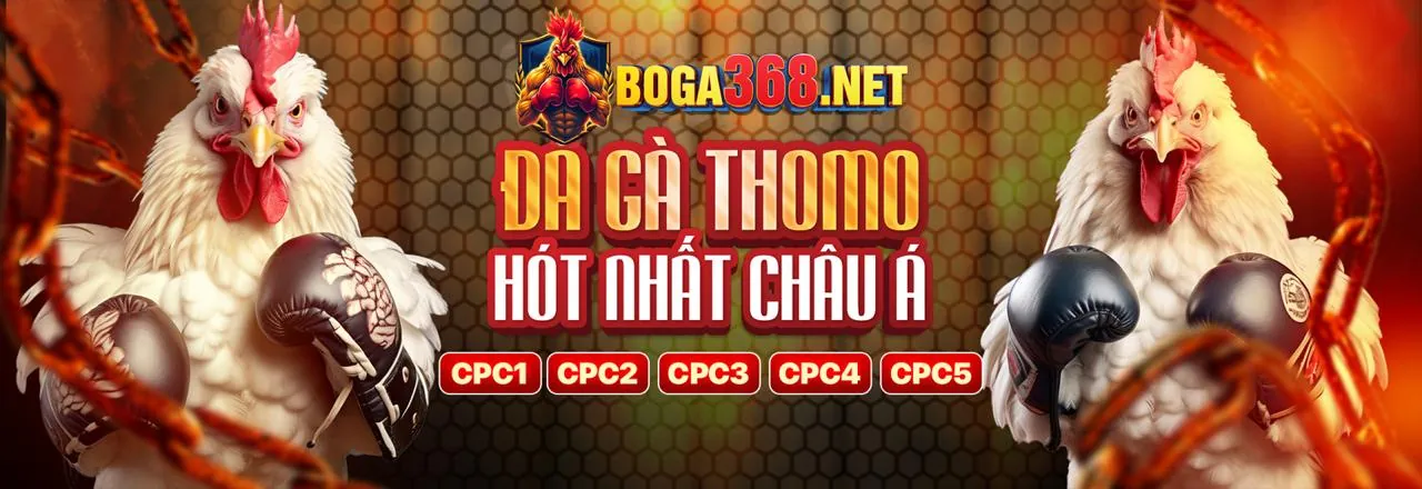 Tổng quan ưu đãi chào mừng Netwin