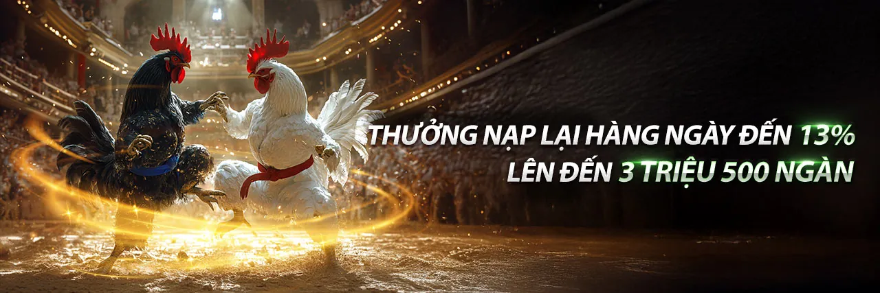 Đá Gà Trực Tuyến Netwin Hiện Đang Mở 2026